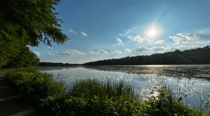 Why summer is the best season