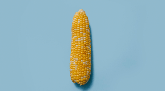 How fruits have been modified to make them more pleasurable.