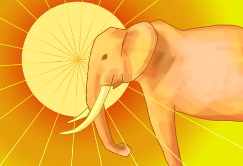 Endangered Animal Awareness