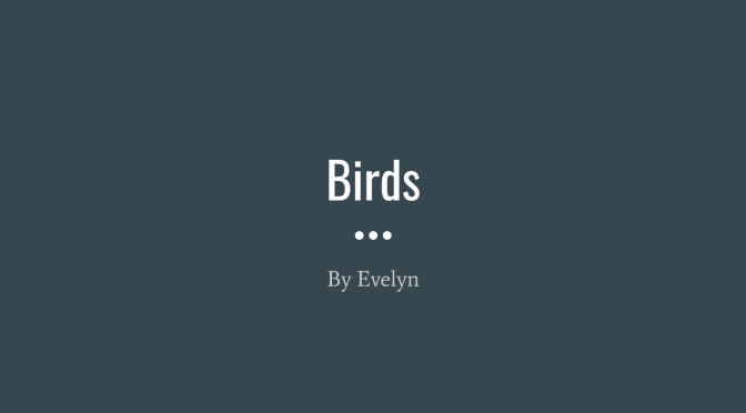 Birds