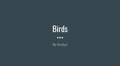 Birds