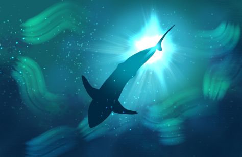 Endangered Animal Awareness 2