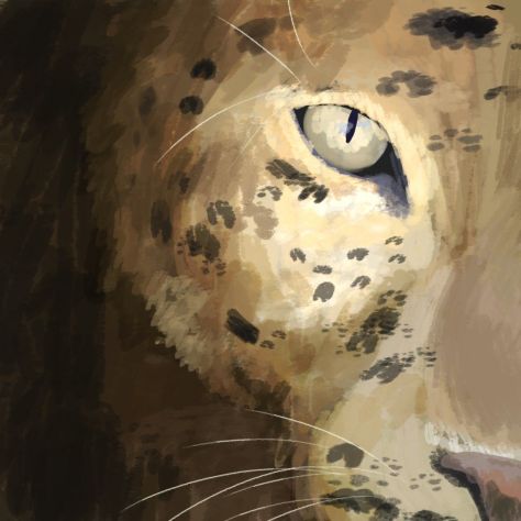 Endangered Animal Awareness 4