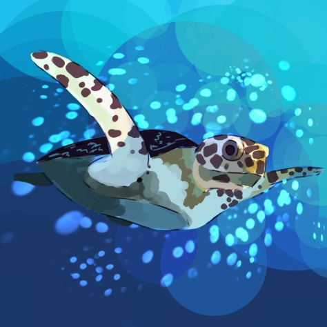 Endangered Animal Awareness 5
