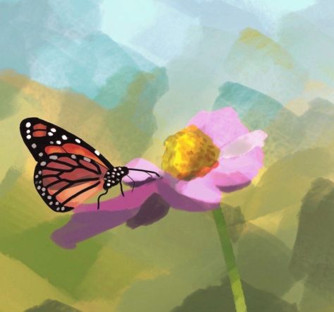 Endangered Animal Awareness 6